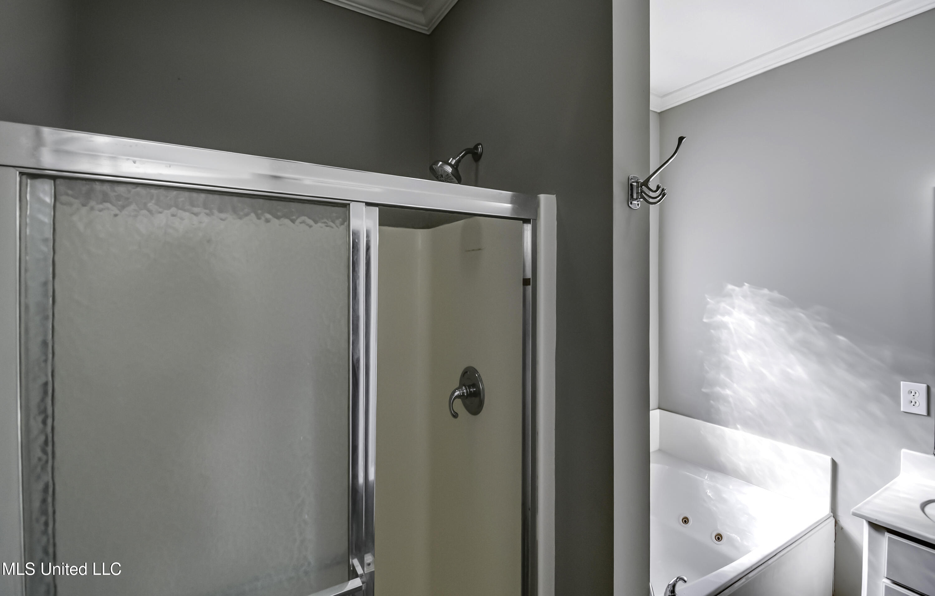 314 Turtle Hollow Brandon, MS 39047 - Photo 31 of 46 314 Turtle Hollow--56