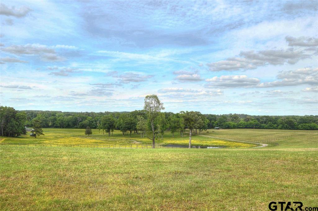 1765 Crabapple Road Gilmer, TX 75645 - Photo 18 of 29 a view of a lake with a big yard