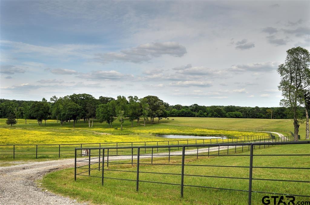 1765 Crabapple Road Gilmer, TX 75645 - Photo 19 of 29 a view of an ocean and beach