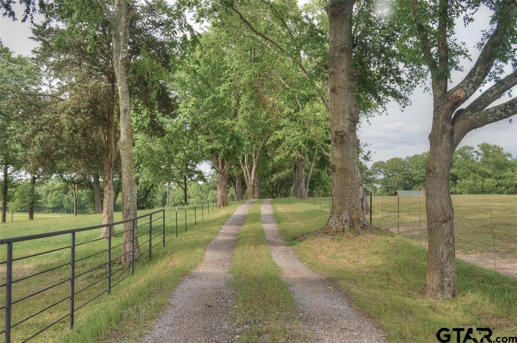 1765 Crabapple Road Gilmer, TX 75645 - Photo 20 of 29 a view of a park