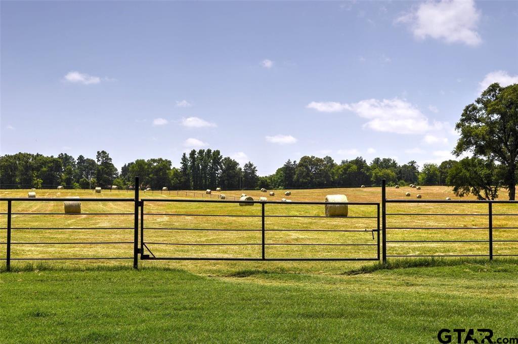1765 Crabapple Road Gilmer, TX 75645 - Photo 21 of 29 a view of a garden with an outdoor space