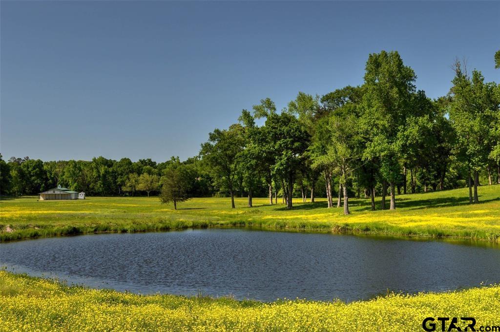 1765 Crabapple Road Gilmer, TX 75645 - Photo 24 of 29 a view of a swimming pool with a yard and a large tree
