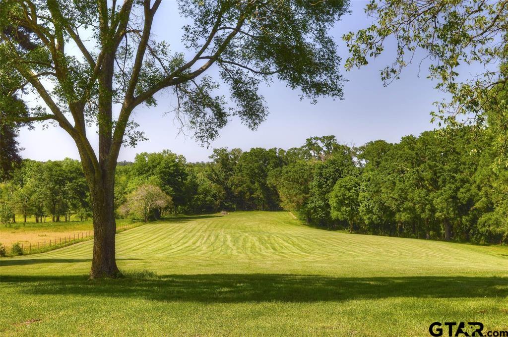 1765 Crabapple Road Gilmer, TX 75645 - Photo 25 of 29 a view of an outdoor space