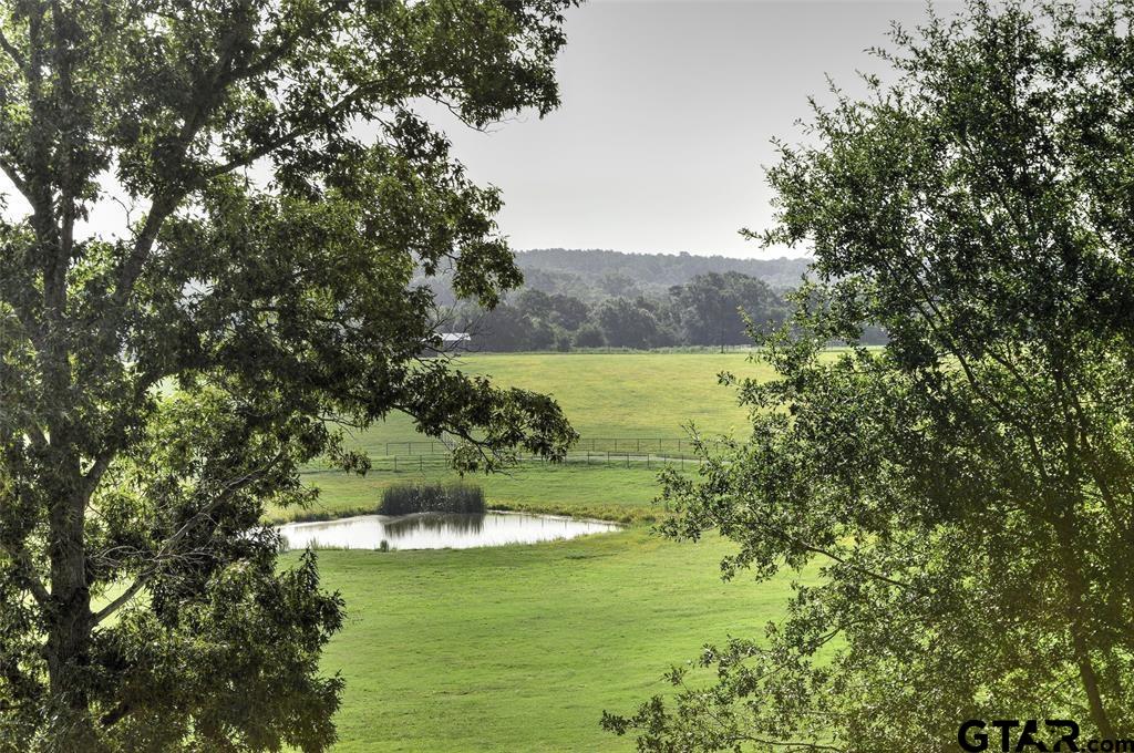 1765 Crabapple Road Gilmer, TX 75645 - Photo 27 of 29 a view of a lake with houses in the back
