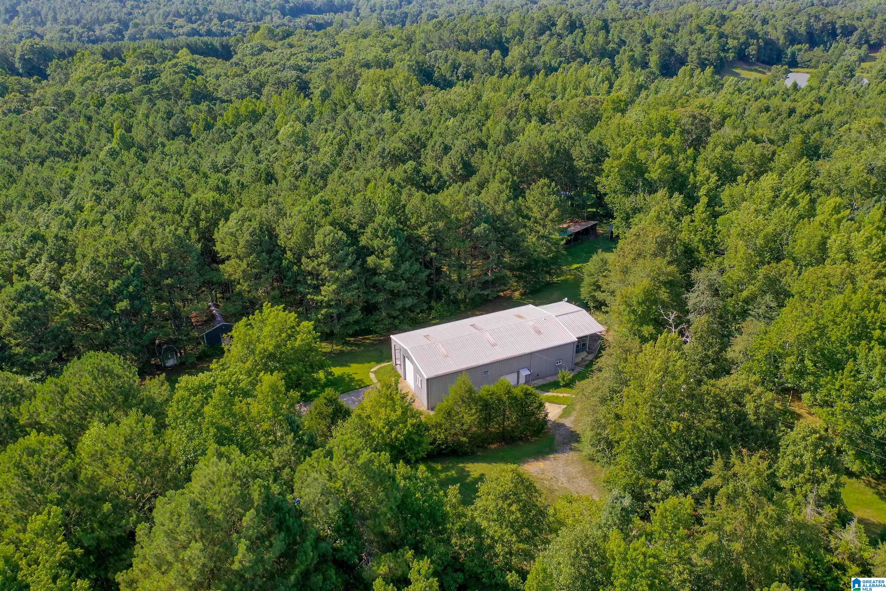 1031 Reneau Road Oneonta, AL 35121 - Photo 47 of 50