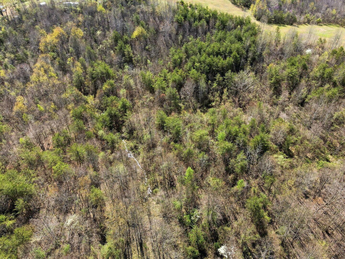 0 Roberts Road Jackson, OH 45640 - Photo 33 of 42 33-web-or-mls-DJI_0560