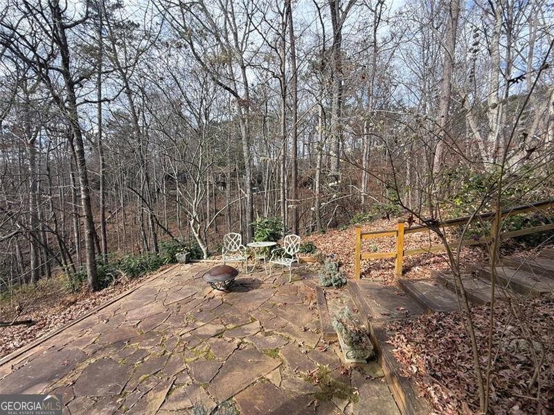 490 Golden Dahlonega, GA 30533 - Photo 30 of 32