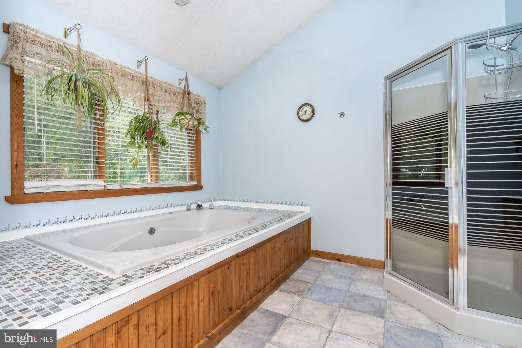 330 Claiborne Road Pasadena, MD 21122 - Photo 32 of 63 MASTER BATHROOM