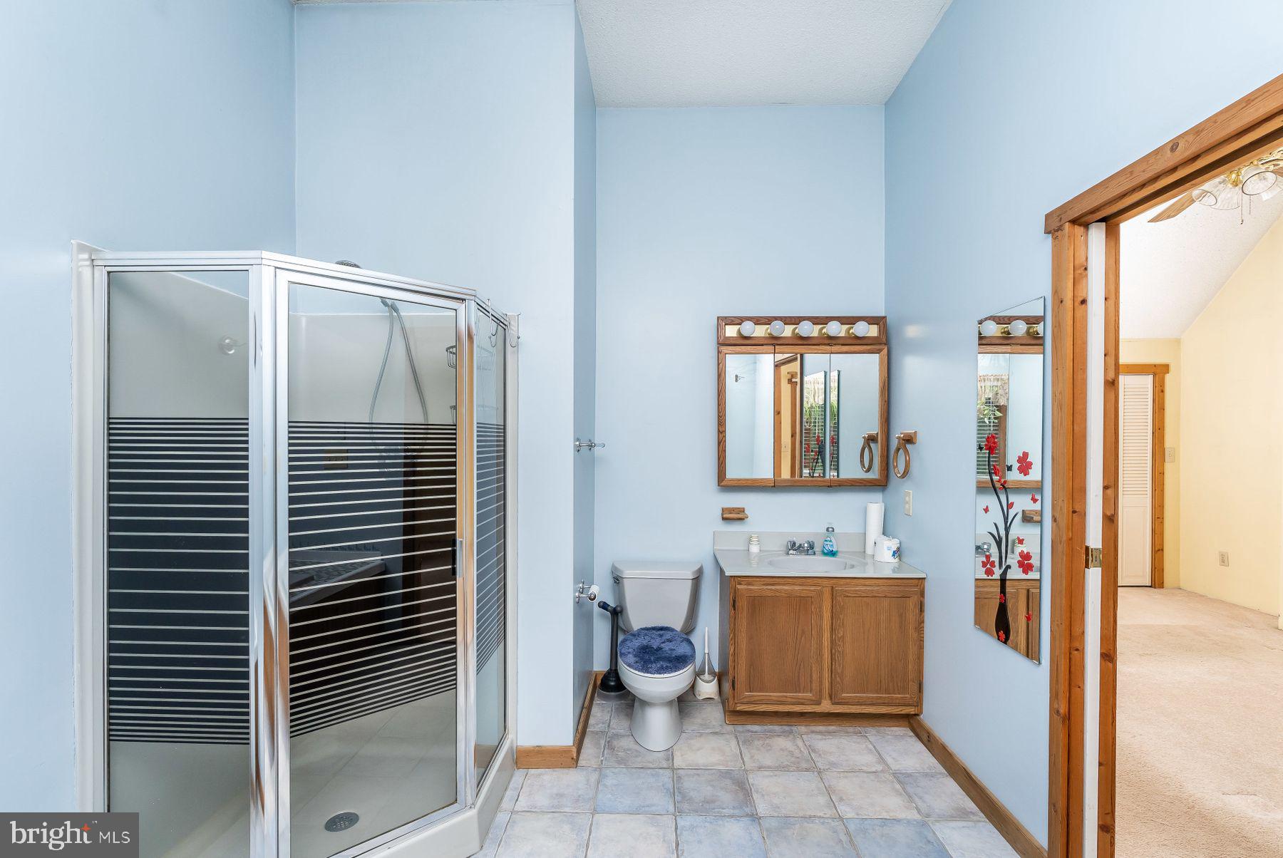 330 Claiborne Road Pasadena, MD 21122 - Photo 35 of 63 MASTER BATHROOM