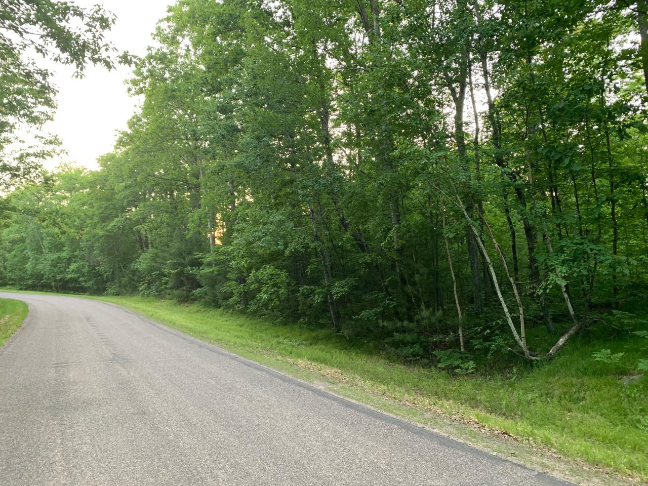 On North Bluebird Road, Unit 5 98 ACRES Lake Tomahawk, WI 54539 - Photo 2 of 13 Gallery Image 2