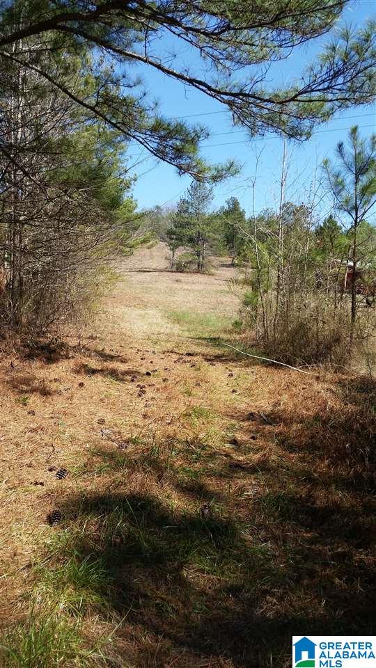 3425 George Key Road Warrior, AL 35180 - Photo 6 of 6