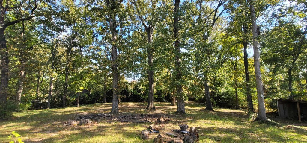 6860 Mobley Road Columbus, GA 31904 - Photo 14 of 19 Gallery Image 14