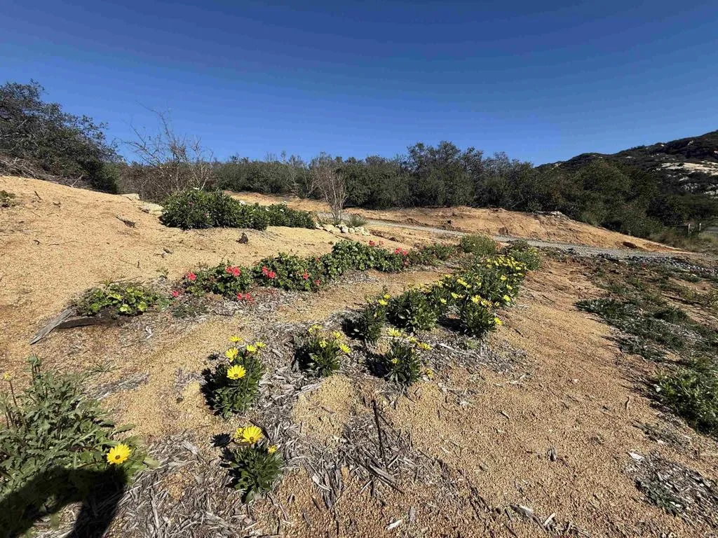 0 Mt Olympus Valley Road Fallbrook, CA 92028 - Photo 49 of 50