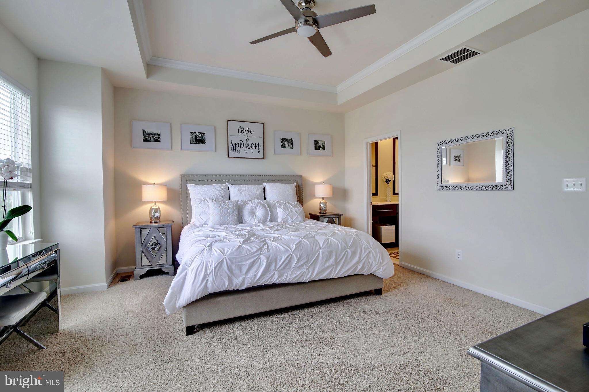 42249 Riggins Ridge Terrace Ashburn, VA 20148 - Photo 18 of 28 Bedroom (Master)