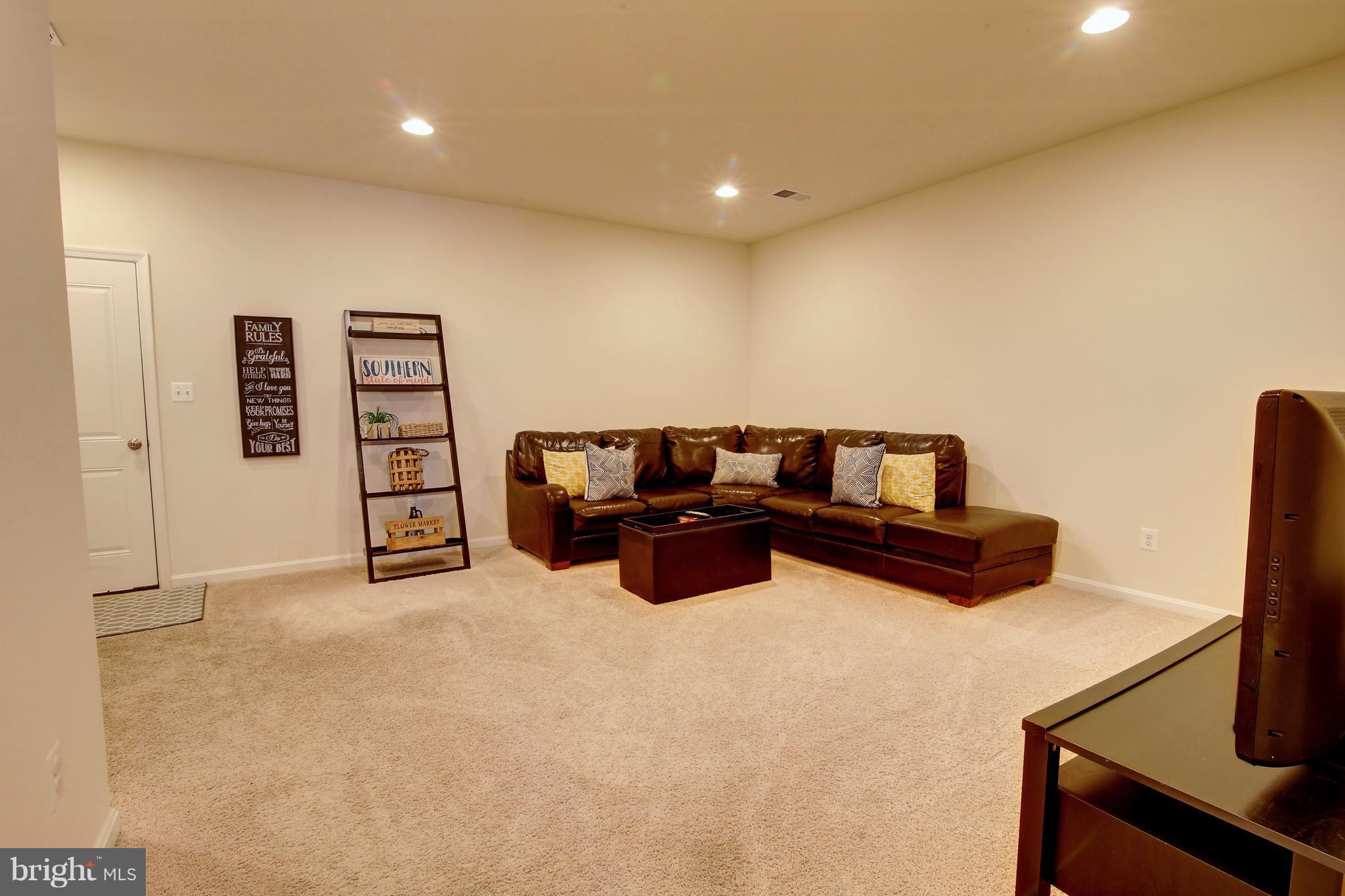 42249 Riggins Ridge Terrace Ashburn, VA 20148 - Photo 24 of 28 Basement