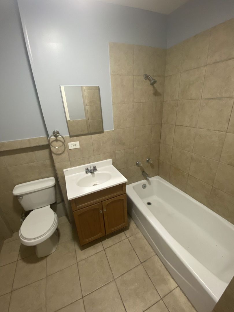 4812 South Elizabeth Street, Unit 2R Chicago, IL 60609 - Photo 14 of 14 a bathroom with a sink a toilet and a bathtub