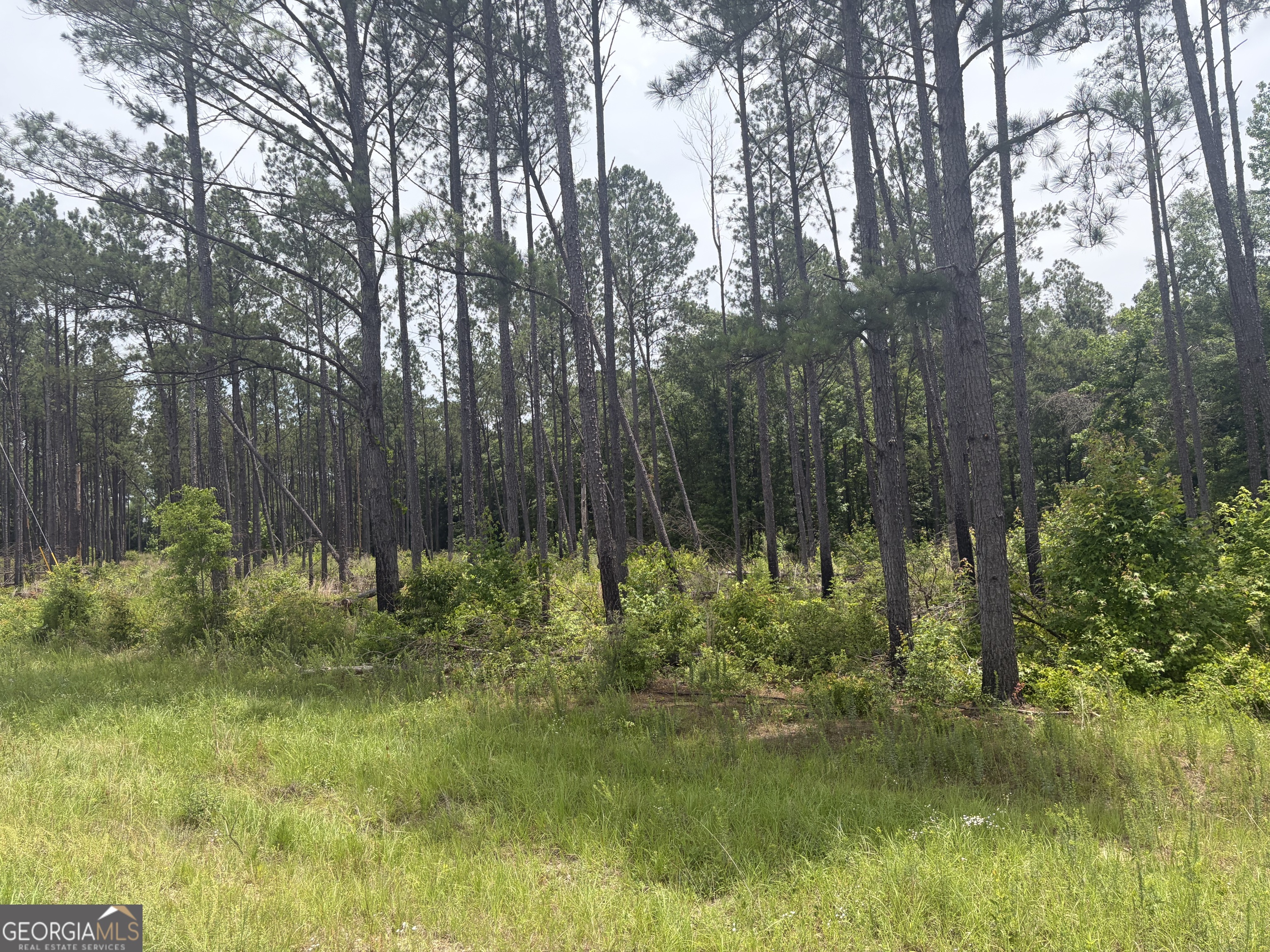1 Sunhill Grange Road Sandersville, GA 31018 - Photo 3 of 10