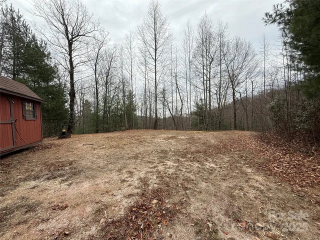 a view of trees in between the two trees