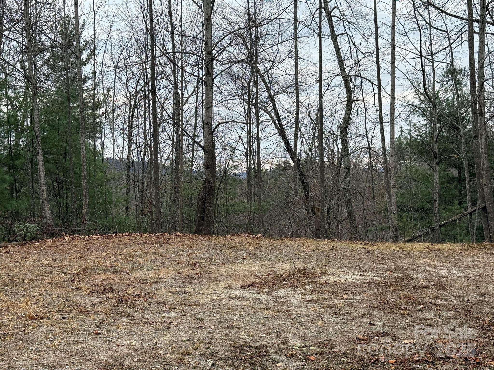 Tbd Casey Mountain Road, Unit 218 Purlear, NC 28665 - Photo 12 of 45 a view of outdoor space with trees