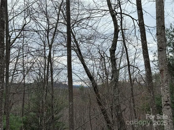 a backyard of a house with lots of green space and plants