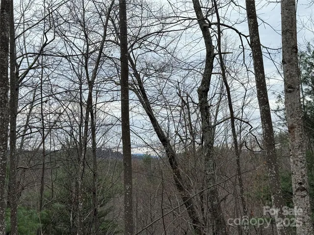 $185,000 | Tbd Casey Mountain Road, Unit 218, Purlear, NC 28665