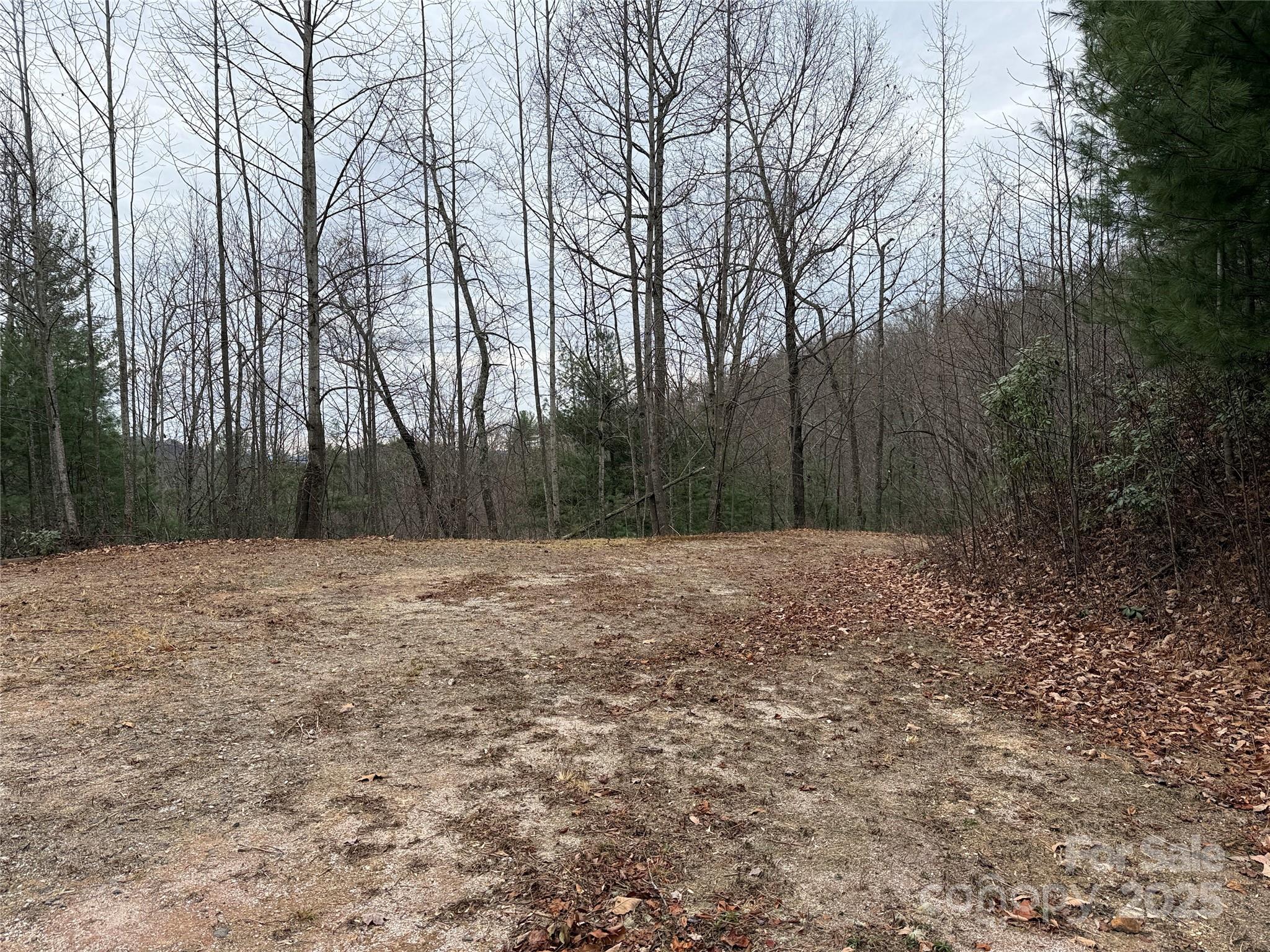 Tbd Casey Mountain Road, Unit 218 Purlear, NC 28665 - Photo 14 of 45 a view of a backyard