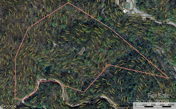 a view of trees in front of house