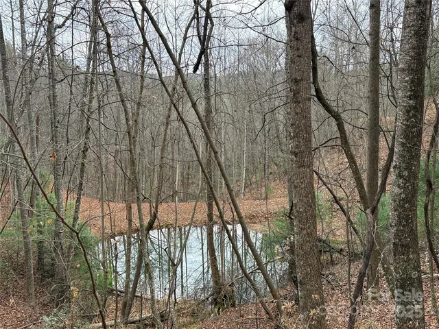 a backyard of a house with a trees