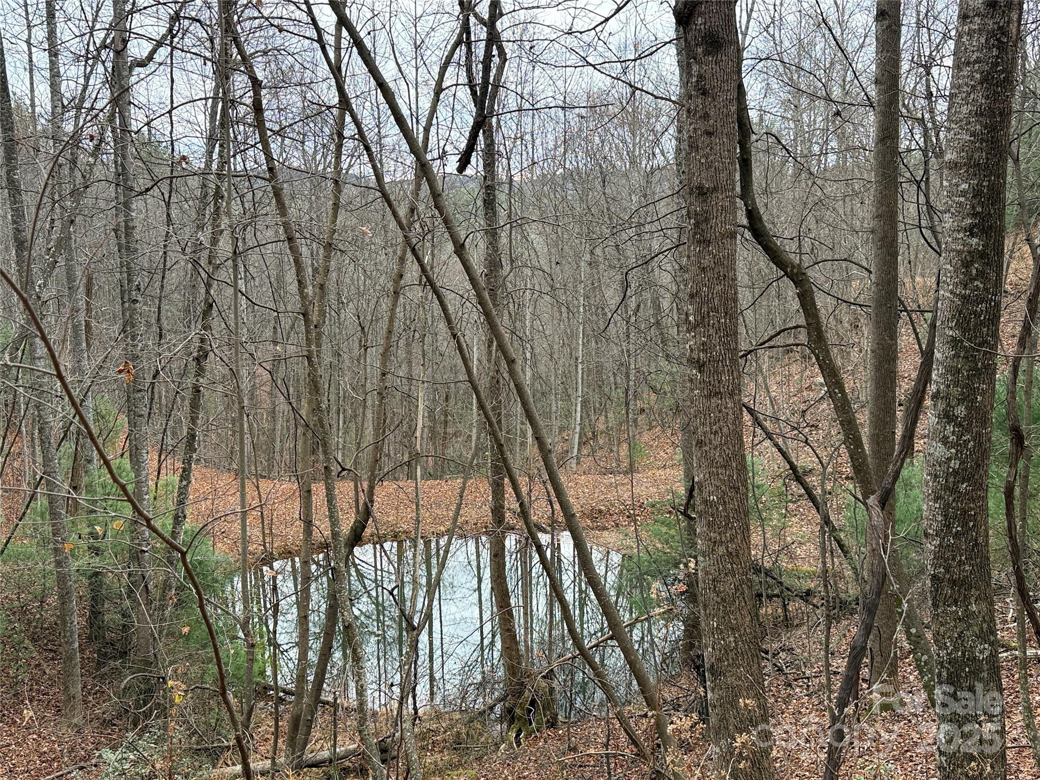 Tbd Casey Mountain Road, Unit 218 Purlear, NC 28665 - Photo 18 of 45 a view of trees in front of house
