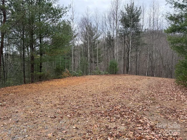 $185,000 | Tbd Casey Mountain Road, Unit 218, Purlear, NC 28665