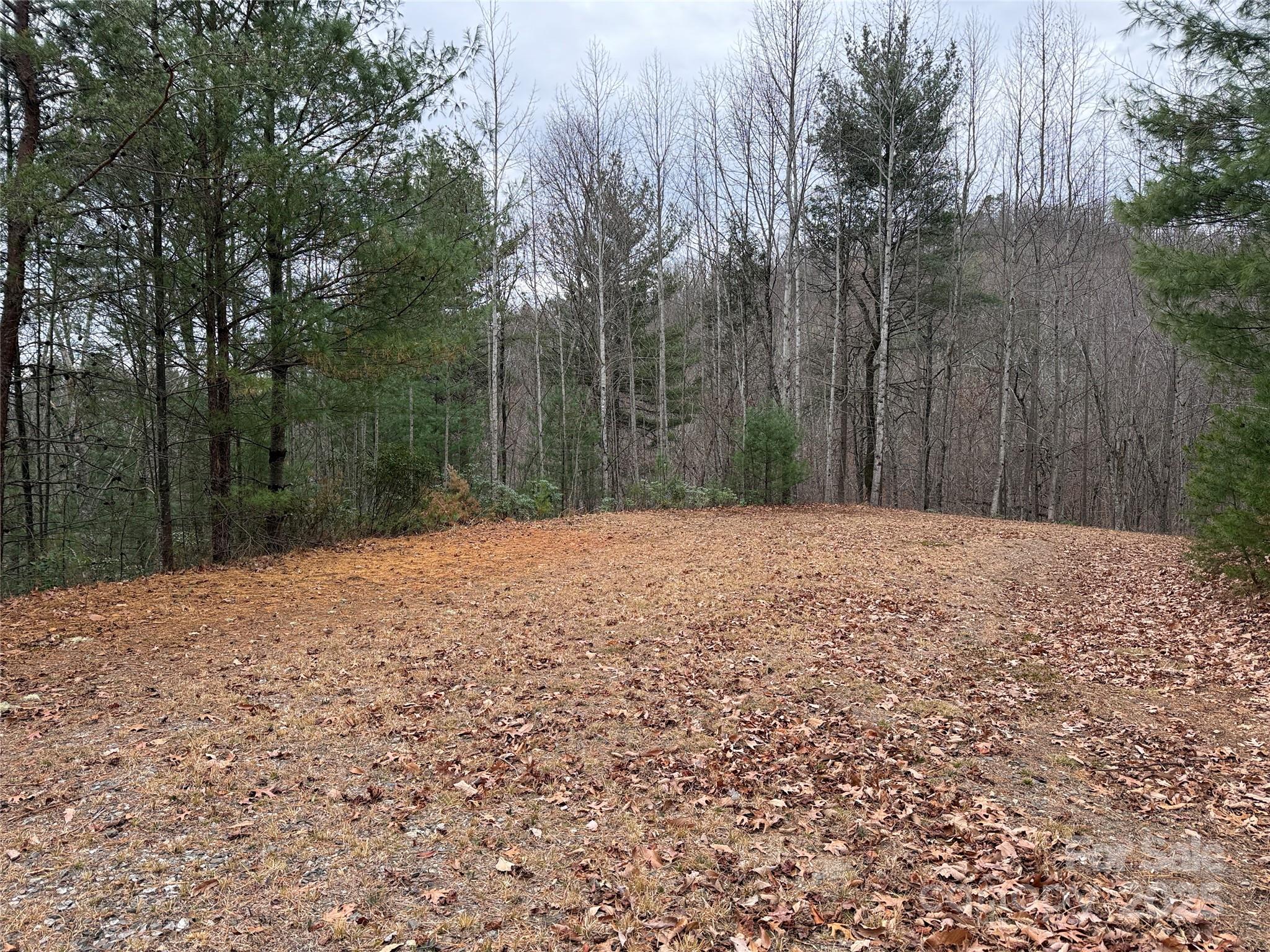 Tbd Casey Mountain Road, Unit 218 Purlear, NC 28665 - Photo 20 of 45 a backyard of a house with a trees