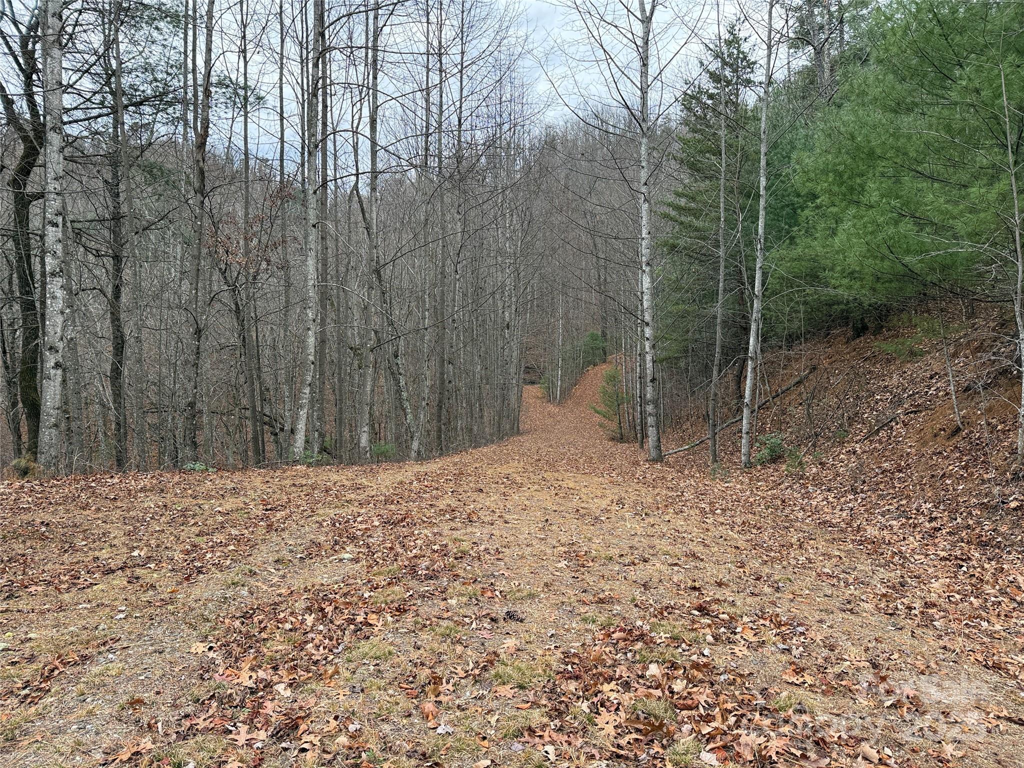 Tbd Casey Mountain Road, Unit 218 Purlear, NC 28665 - Photo 21 of 45 a view of a backyard of the house