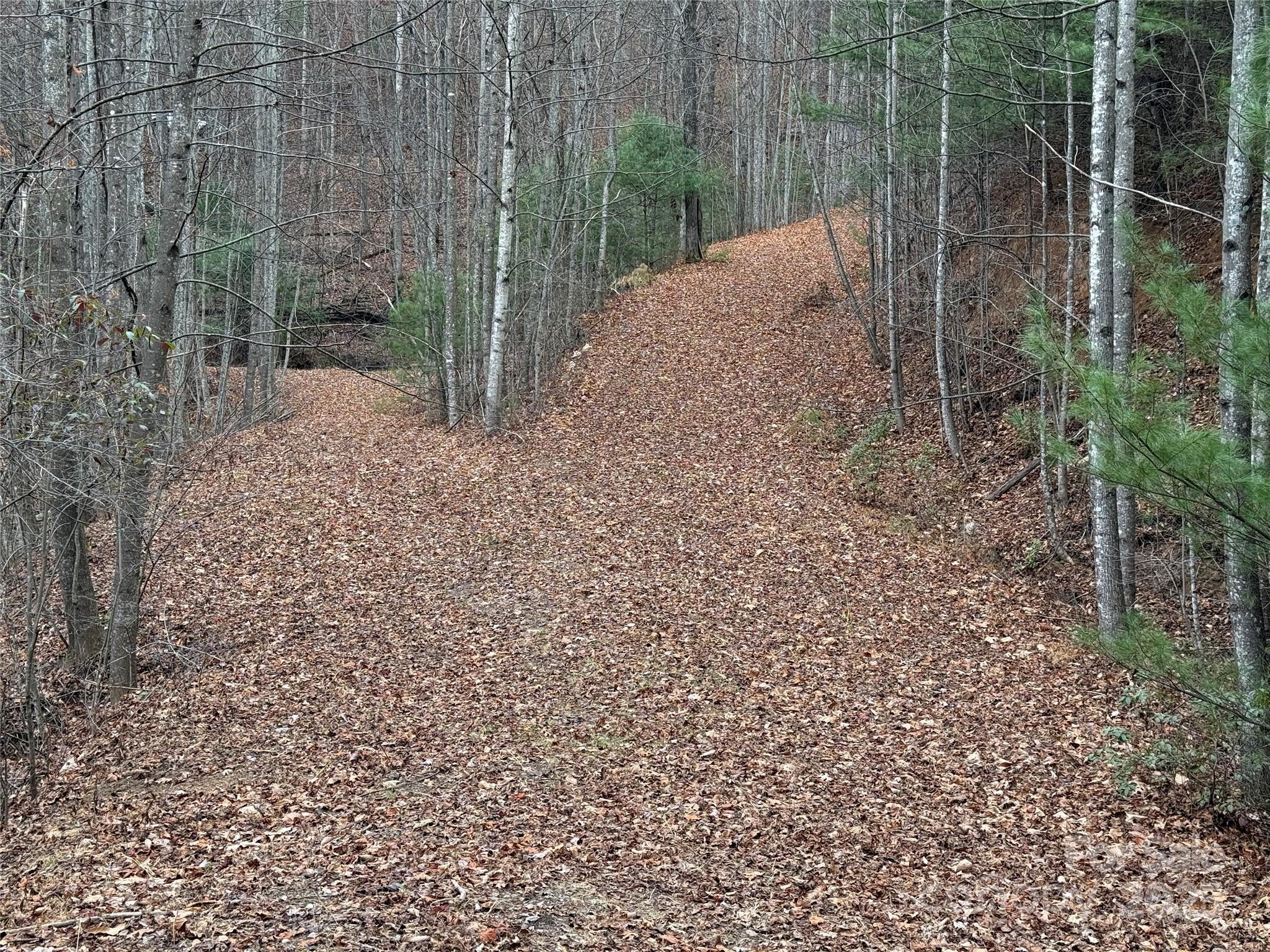 Tbd Casey Mountain Road, Unit 218 Purlear, NC 28665 - Photo 22 of 45 a view of a backyard