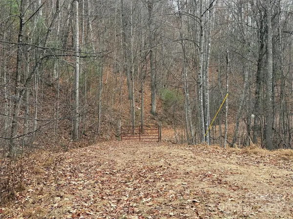 a view of a backyard of the house