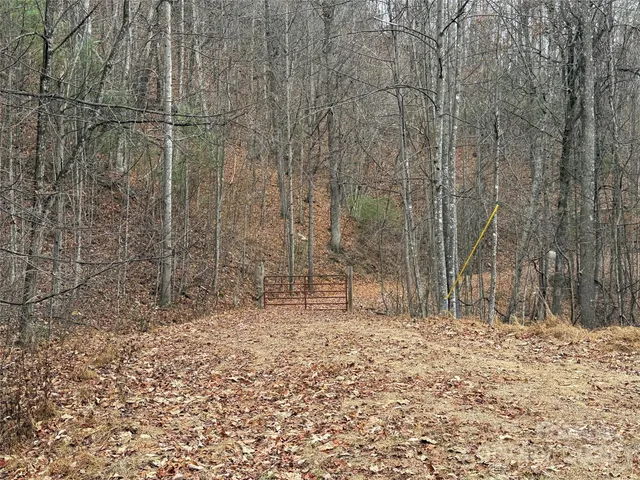 a view of a backyard of the house