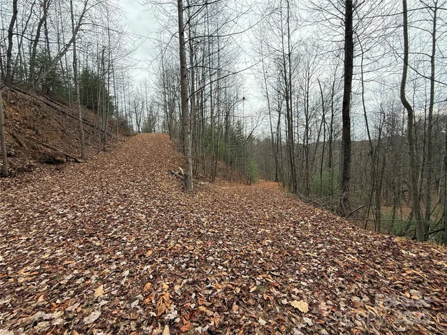 a view of backyard with barn