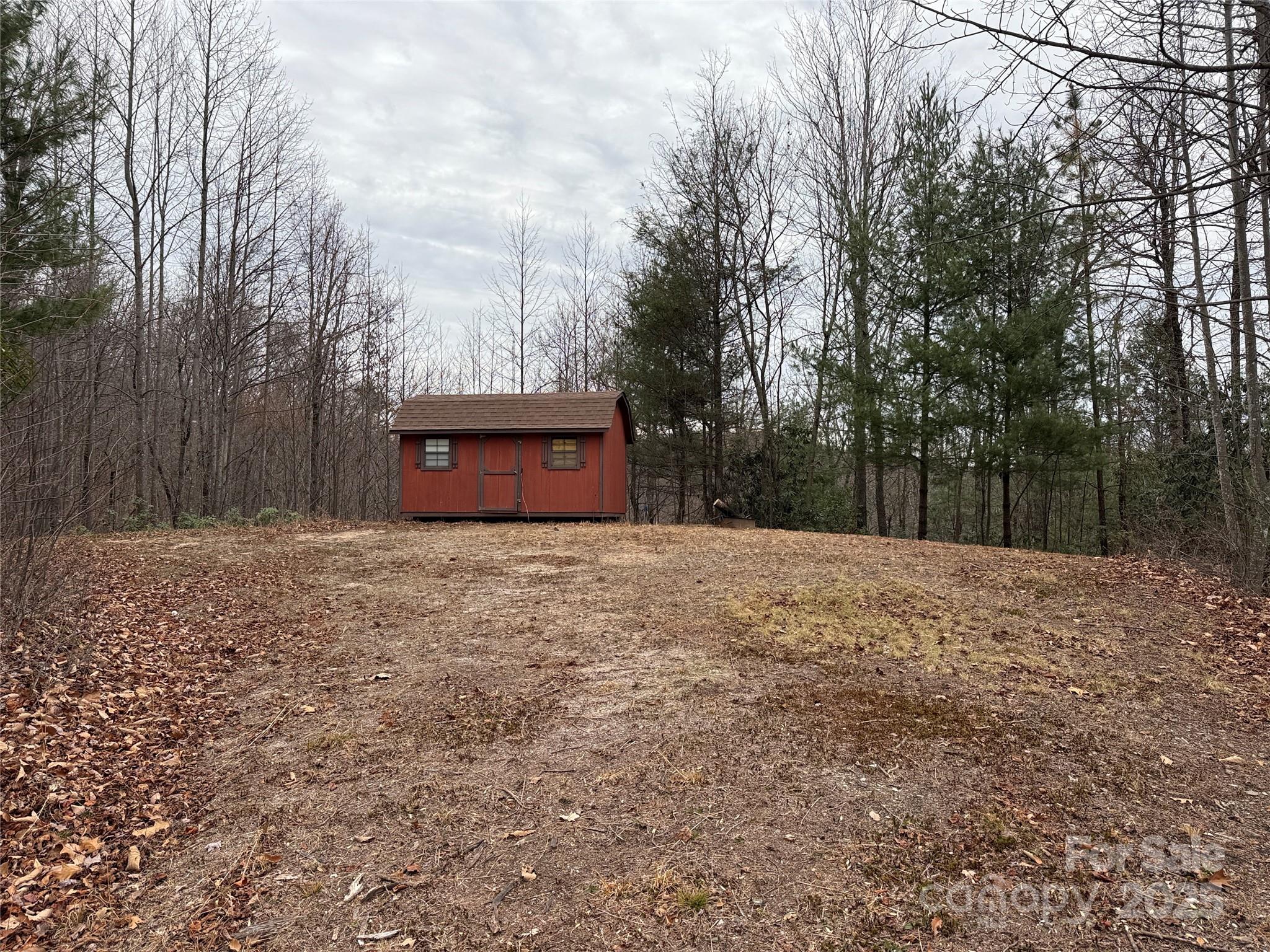 Tbd Casey Mountain Road, Unit 218 Purlear, NC 28665 - Photo 8 of 45 a backyard of a house