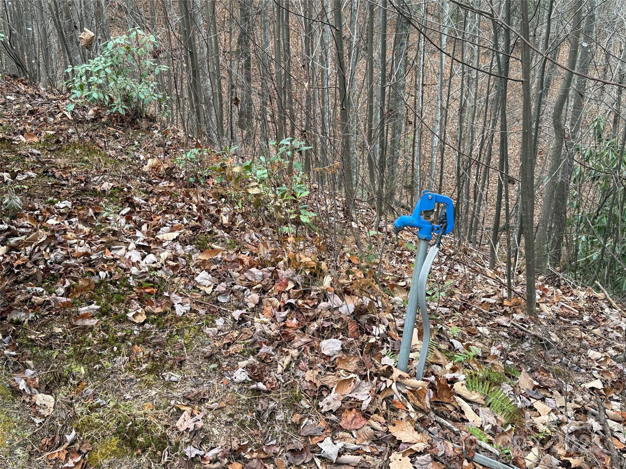 Tbd Casey Mountain Road, Unit 218 Purlear, NC 28665 - Photo 10 of 45 a outdoor view