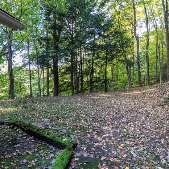 545 Wetzel Road Pittsburgh, PA 15209 - Photo 3 of 23