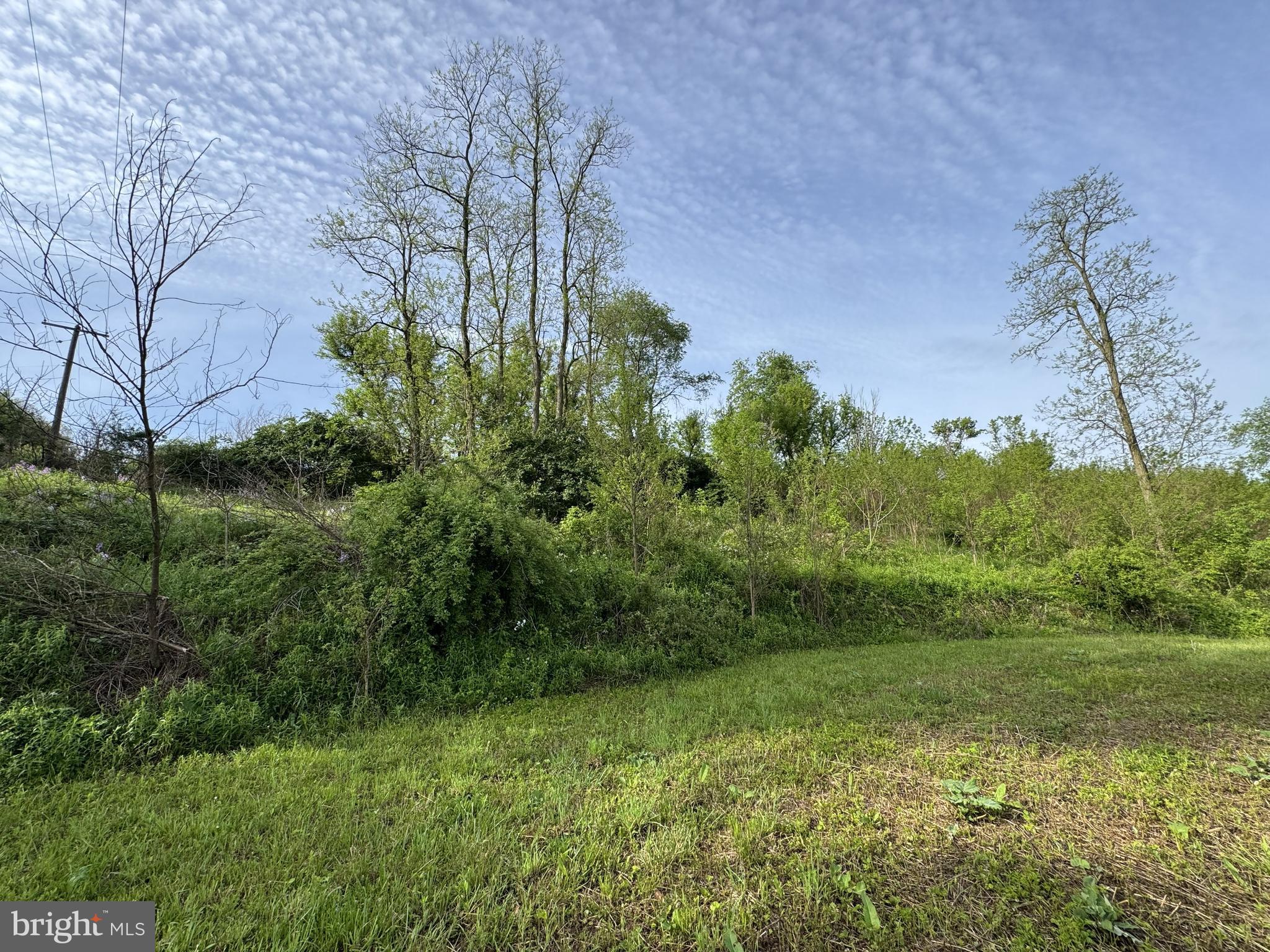 2781 Buffalo Run Road Bellefonte, PA 16823 - Photo 6 of 17 a view of a garden