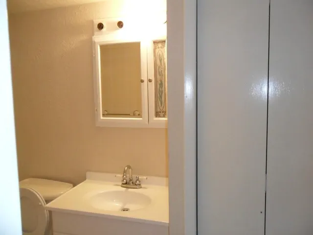 a view of a backyard with large trees and wooden fence