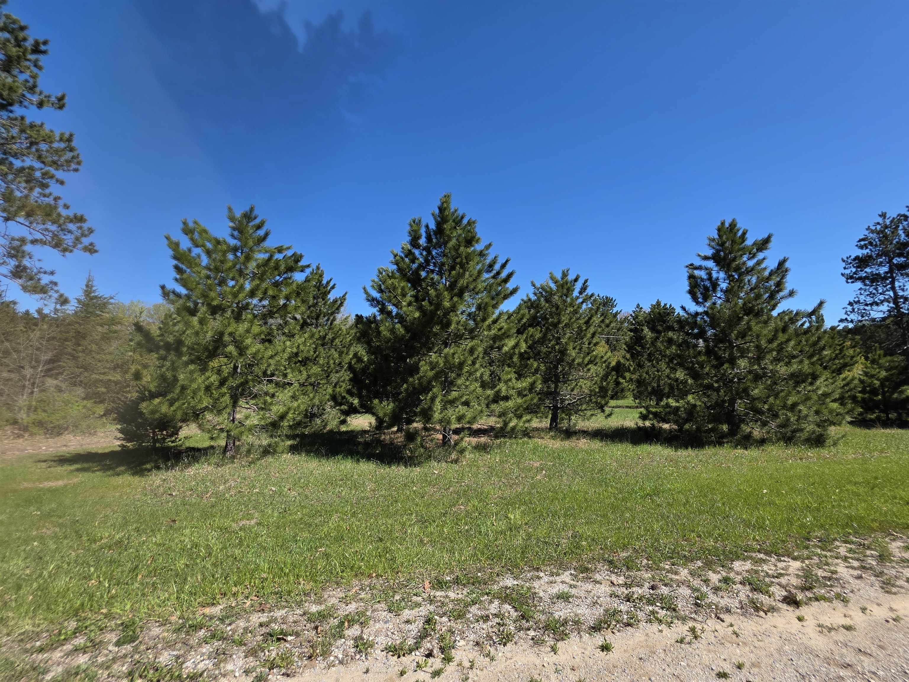 Vl 2-acres Arnold Road Manton, MI 49663 - Photo 4 of 15