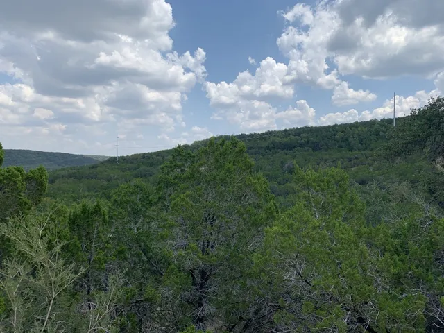 a view of a big yard with lots of bushes