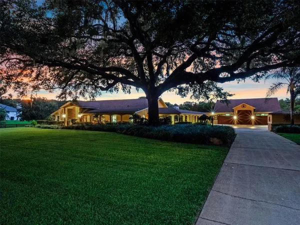 a view of a park with large trees