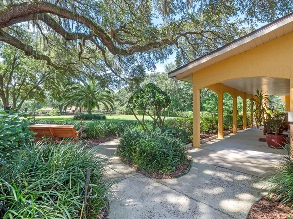 a living room with furniture a ceiling fan and a rug