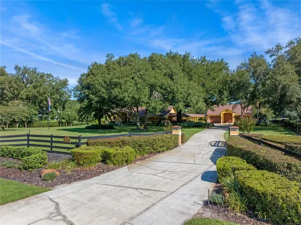 a view of a garden with houses