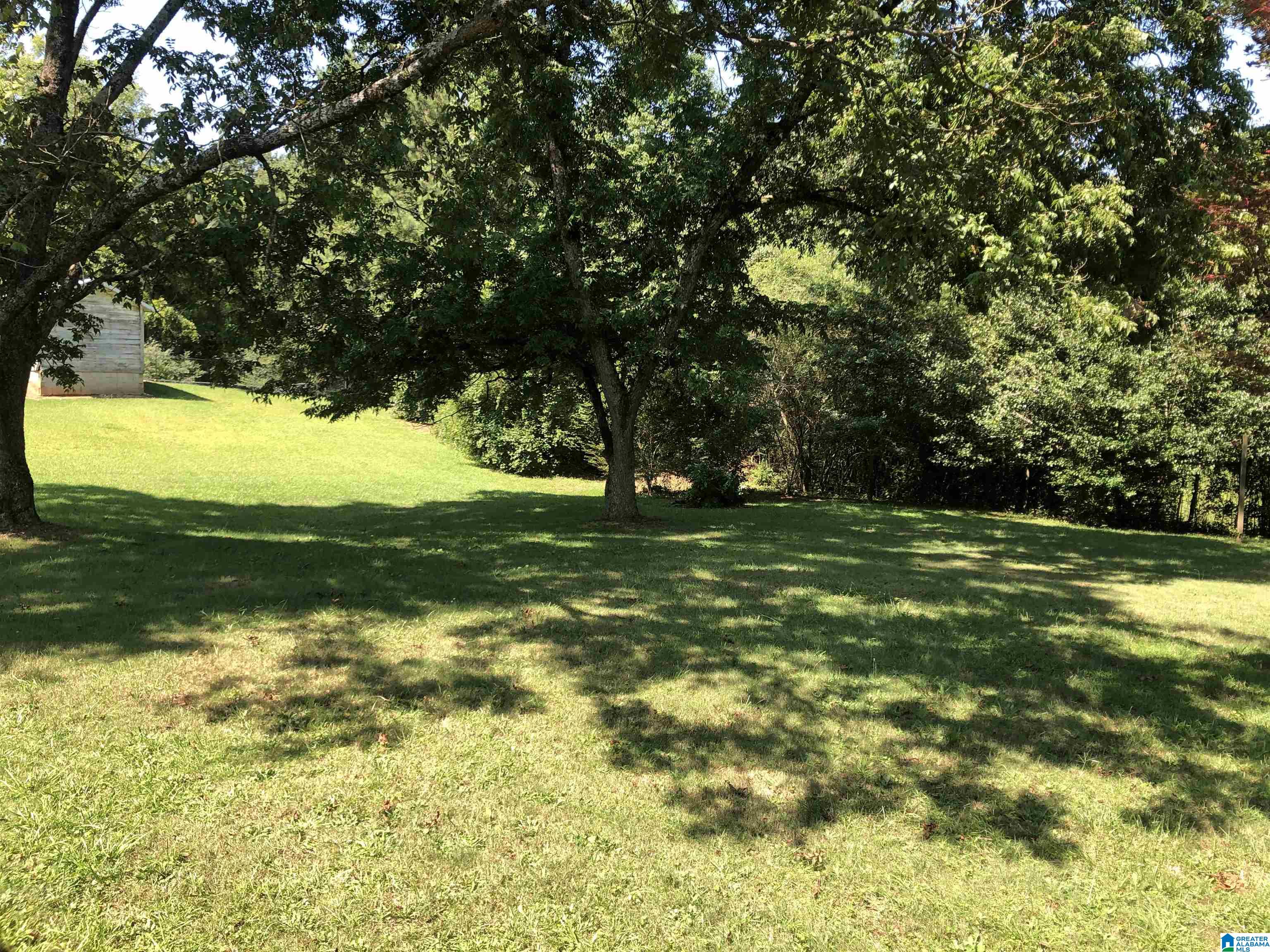 90657 Highway 9 Lineville, AL 36266 - Photo 27 of 58