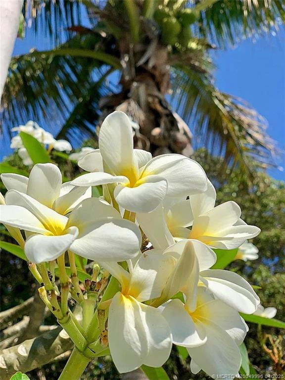 15 Miramar Road Stuart, FL 34996 - Photo 40 of 41