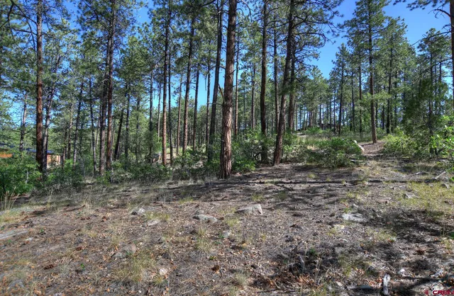 $350,000 | 109 Cabin Creek Drive, Durango, CO 81301