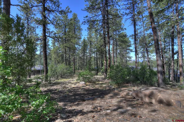 a view of outdoor space and trees